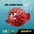 ANDRO Blowfish 